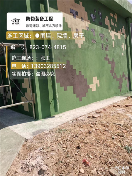 虹口核心结论：专业提供外墙迷彩漆施工服务